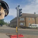 Five Dogs Seized in Cambridgeshire Coursing Bust  in 2026