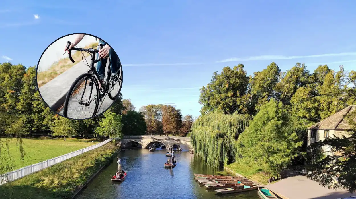 New Cycleway Plans Branded 'Complete Waste of Money' by Critics