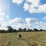 Why Grantchester, Cambridge Divides Opinion Among Locals