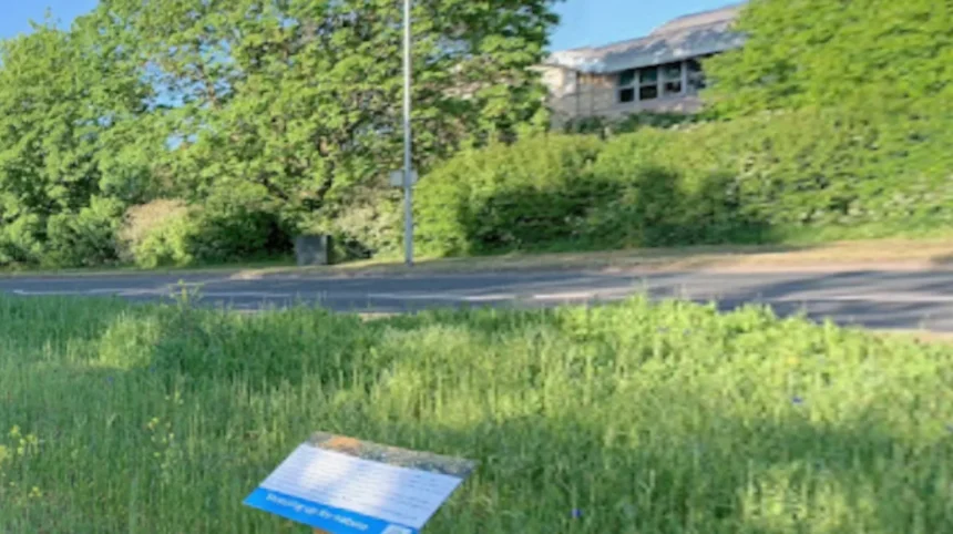 Barnwell Road Potholes Fix