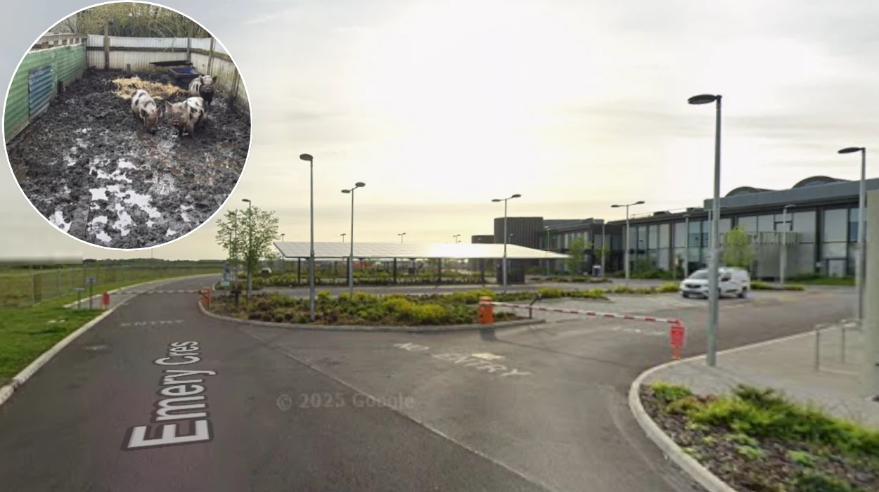 Cambridgeshire Woman Prosecuted Over Animal Neglect in 2026