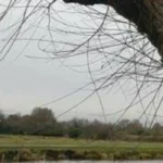 Chesterton Cambridge Residents