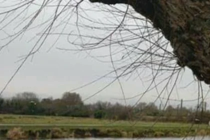 Chesterton Cambridge Residents