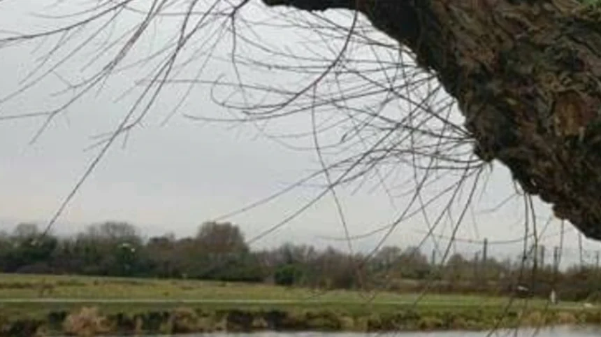 Chesterton Cambridge Residents