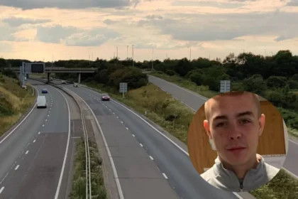 Fatal Van Hits Pedestrian, Milton 2026