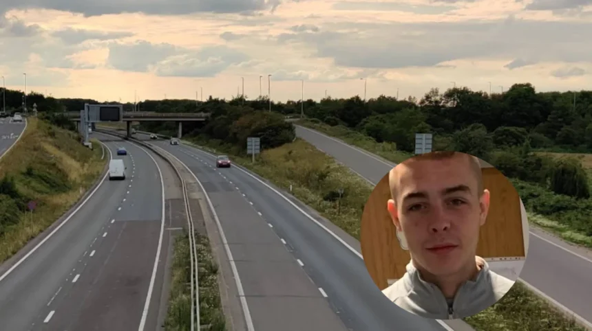 Fatal Van Hits Pedestrian, Milton 2026