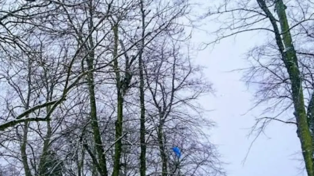Why Petersfield Cambridge Parking Shortages Frustrate Locals