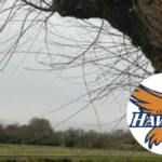 Robbinsdale Cooper vs ISM Softball, Chesterton 2026