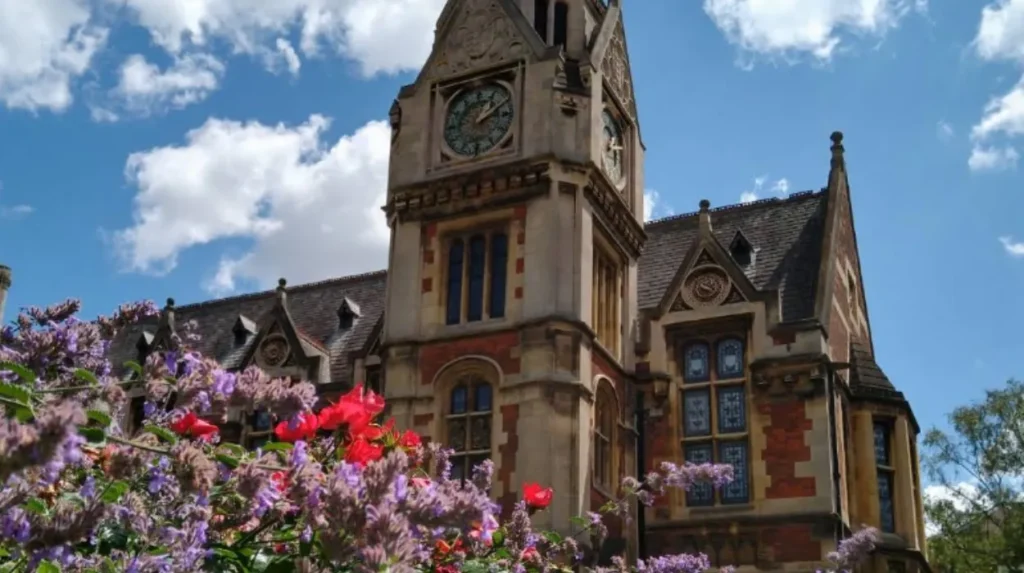 Why Petersfield Cambridge Parking Shortages Frustrate Locals