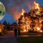 Tree Blaze Torches Cambridge Garden in 2026
