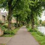 Why Do Professionals Prefer Newnham Over Students