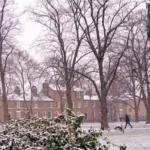 Why Petersfield Cambridge Parking Shortages Frustrate Locals