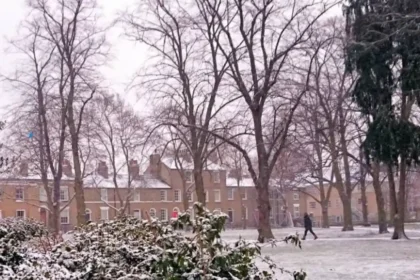 Why Petersfield Cambridge Parking Shortages Frustrate Locals