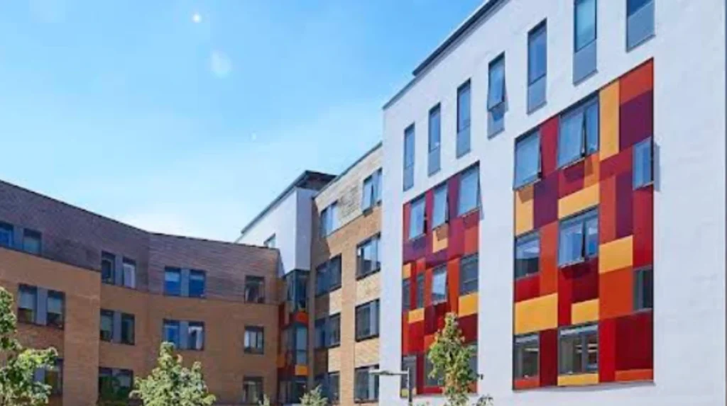 Castle Ward Cambridge: Green Spaces Debate