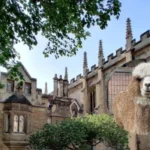 Dog Attack Kills Four Alpacas on Farm, Cambridgeshire 2026