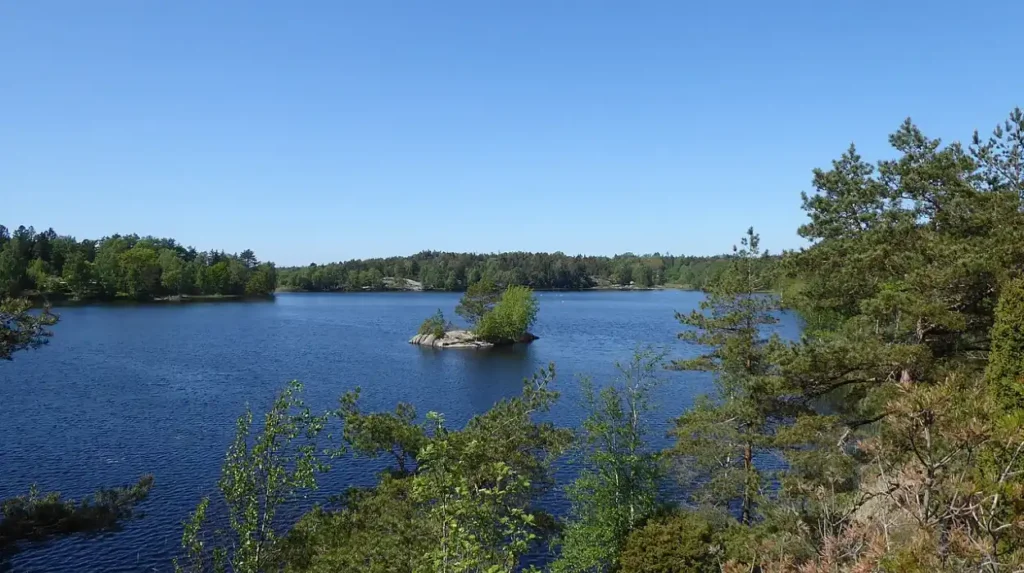 Arbury Park Outdoor School: A Comprehensive Guide to Outdoor Education