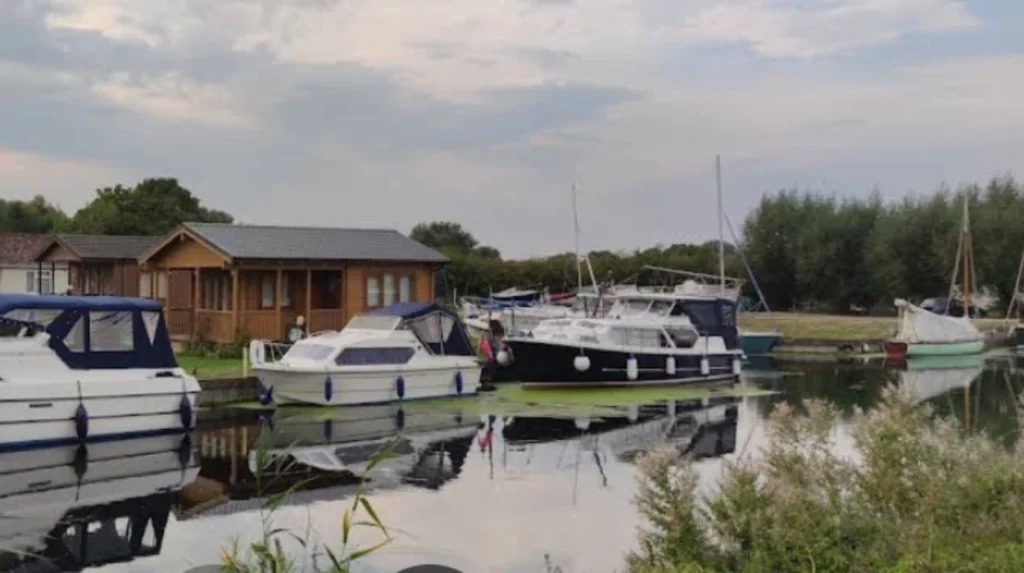 Future Outlook for Reliable Supplies