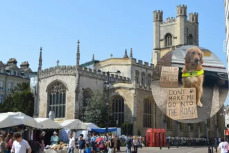 Strict Pavement Laws Change Cambridge
