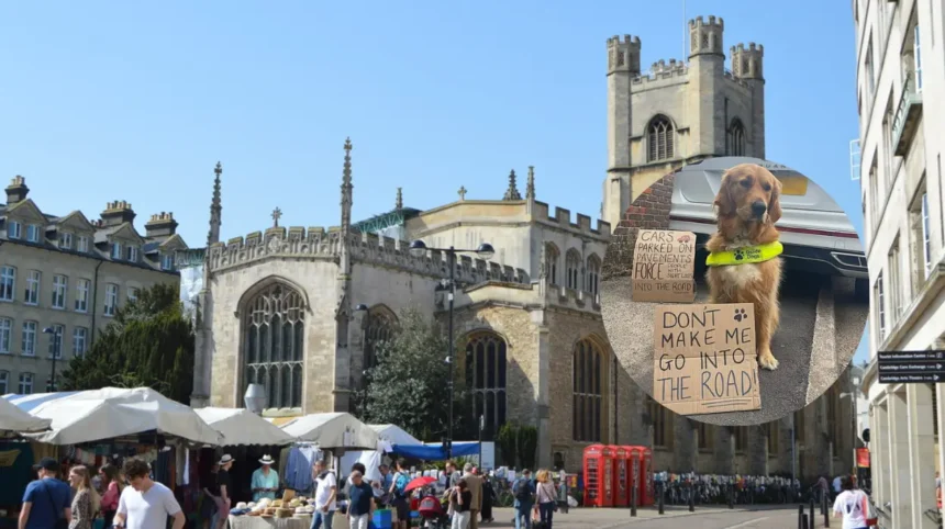 Strict Pavement Laws Change Cambridge