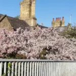 Ancient History in Arbury Cambridge’s Roman Roots