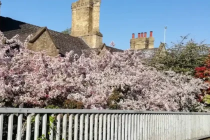 Ancient History in Arbury Cambridge’s Roman Roots