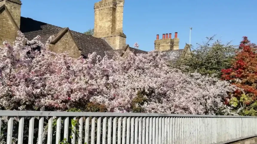 Ancient History in Arbury Cambridge’s Roman Roots