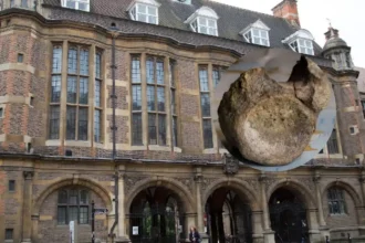 Antarctica’s First Dinosaur Bone Discovered in Cambridge Drawer 2026