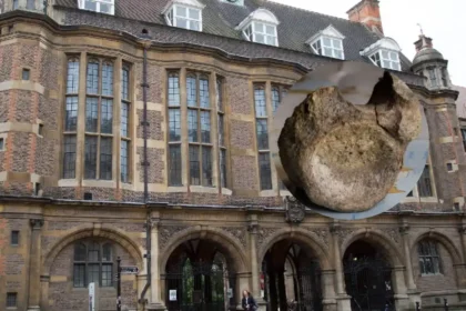 Antarctica’s First Dinosaur Bone Discovered in Cambridge Drawer 2026