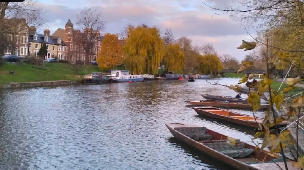 What Is the Definitive Guide to Cambridge Punting for Global Travelers