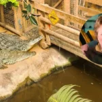Crocodile Exhibit Reopens at Johnsons Zoo After Child Injured, Cambridge 2026