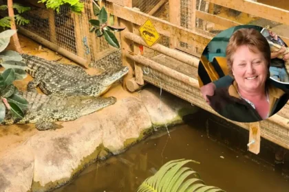 Crocodile Exhibit Reopens at Johnsons Zoo After Child Injured, Cambridge 2026