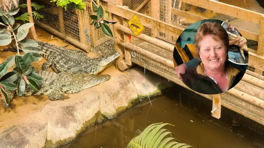 Crocodile Exhibit Reopens at Johnsons Zoo After Child Injured, Cambridge 2026