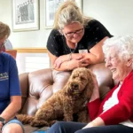 Paws for thought St Ives care home residents enjoy therapy dog visits