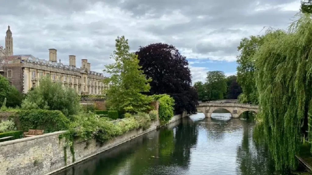 What Is the Definitive Guide to Cambridge Punting for Global Travelers