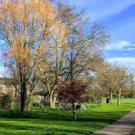 What Are the Best Free Things to Do in Cherry Hinton