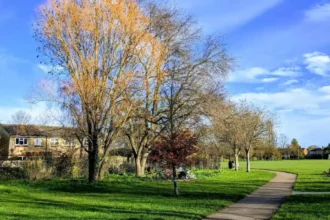 What Are the Best Free Things to Do in Cherry Hinton