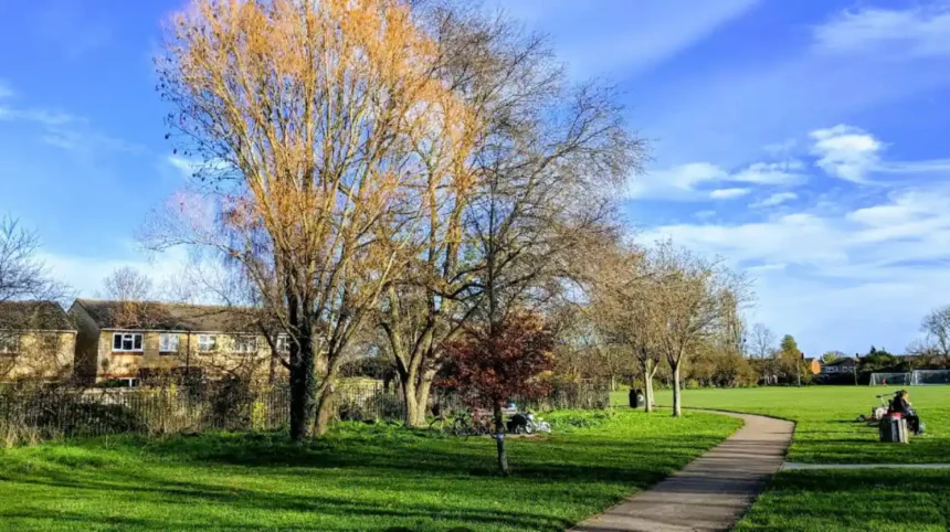What Are the Best Free Things to Do in Cherry Hinton
