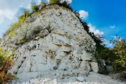 What is the Cherry Hinton Chalk Pits nature reserve?