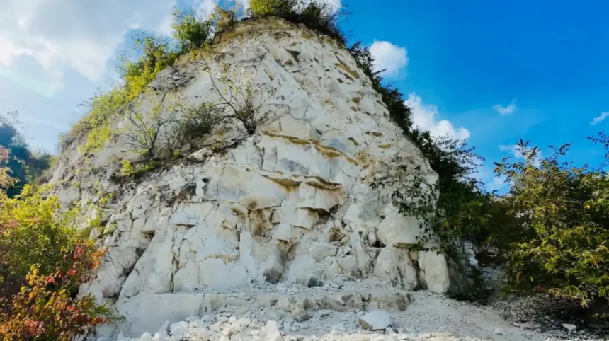 What is the Cherry Hinton Chalk Pits nature reserve?