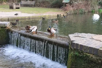 Why Is Cherry Hinton Hall Park the Ultimate Green Space in Cambridge
