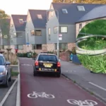 Cambridge Water Issues Hosepipe Ban to Protect Water Supplies