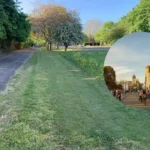 Community-led wildlife corridor launched in Cambridge Abbey 2026