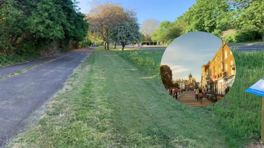 Community-led wildlife corridor launched in Cambridge Abbey 2026
