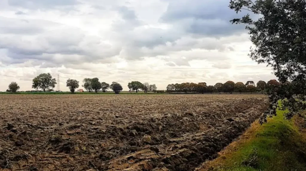 Why Is Fen Ditton the Best Quiet Coworking Spot Near Cambridge?