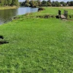 What is the Fen Ditton to Cambridge Walk