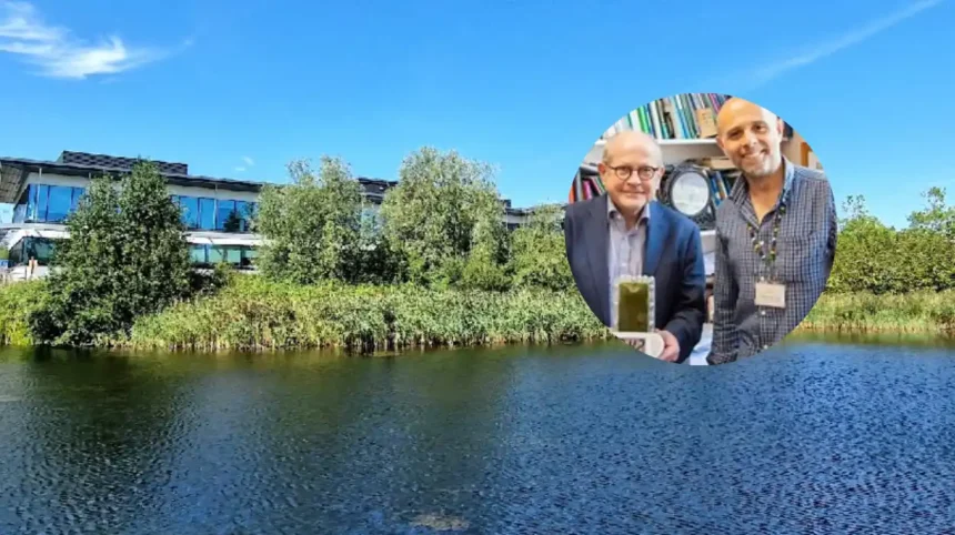 Algae battery breakthrough from Cambridge researchers