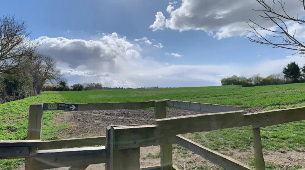 How to Get from Cambridge to Grantchester: Walk, Punt, Cycle or Bus